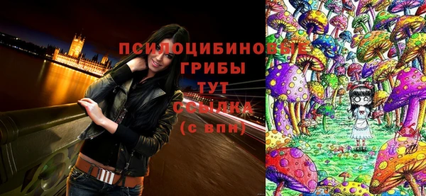 не бодяженный Новозыбков