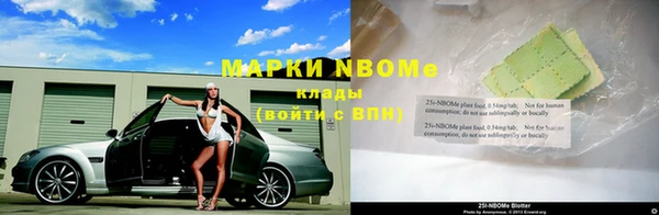не бодяженный Новозыбков