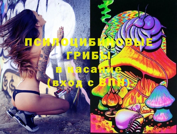 не бодяженный Новозыбков
