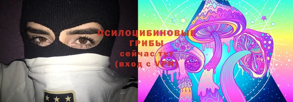 гидропоника Новодвинск