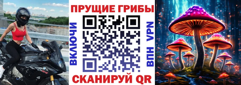 нарко площадка официальный сайт купить наркотик Боровск Псилоцибиновые грибы Magic Shrooms